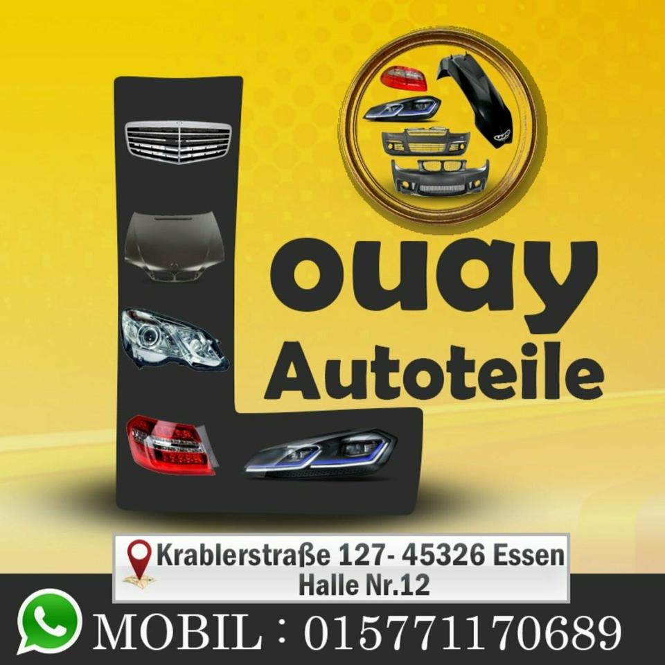 Dacia Sandero II Kotflügel rechts 2012-17 Original 631005522R ✅